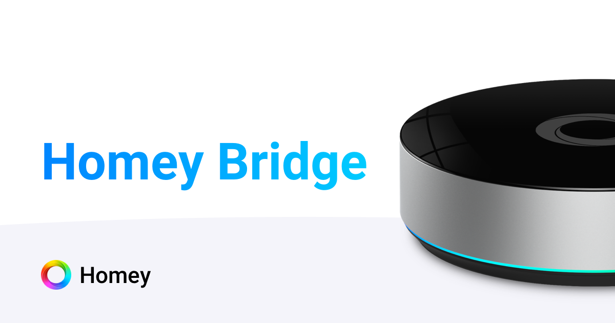 Homey Bridge, imagen de producto del modelo exacto.