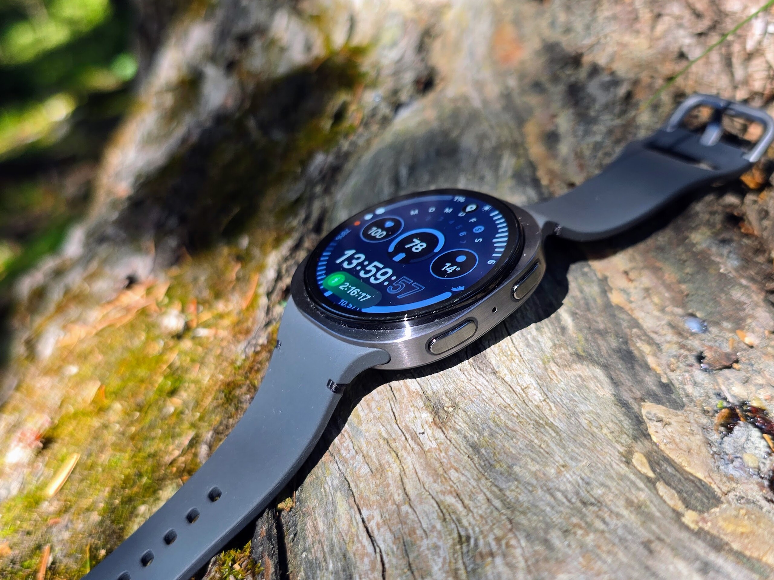 Samsung Galaxy Watch8, imagen de producto del modelo exacto.